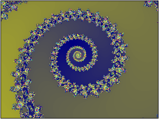 Ammonit